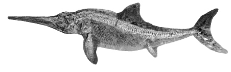 Example Image