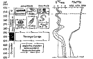 [chemstrat ]