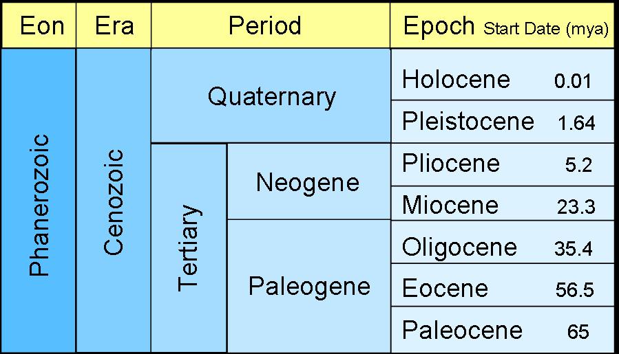 cenozoic timescale