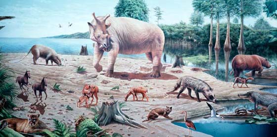 eocene community