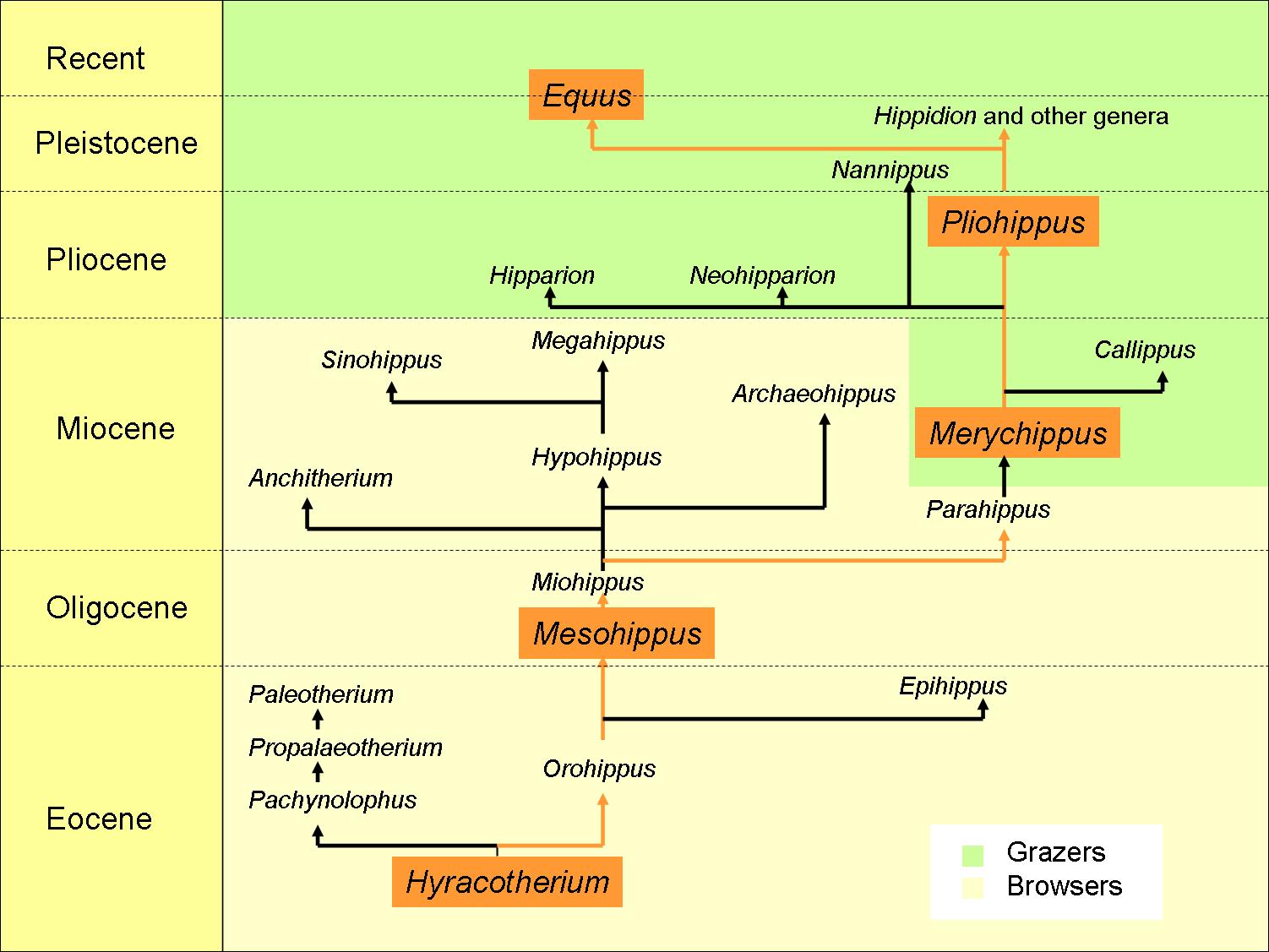 Family tree