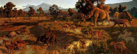 oligocene community