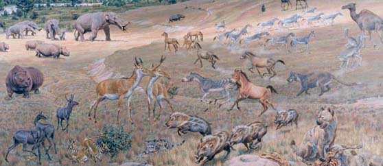 pliocene community