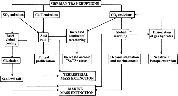 Siberian Trap Effects